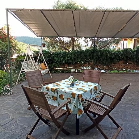 Il Glicine Cozy Appartamnent, Near Sestri Levante Between Cinque Terre E Portofino Casarza Ligure Esterno foto
