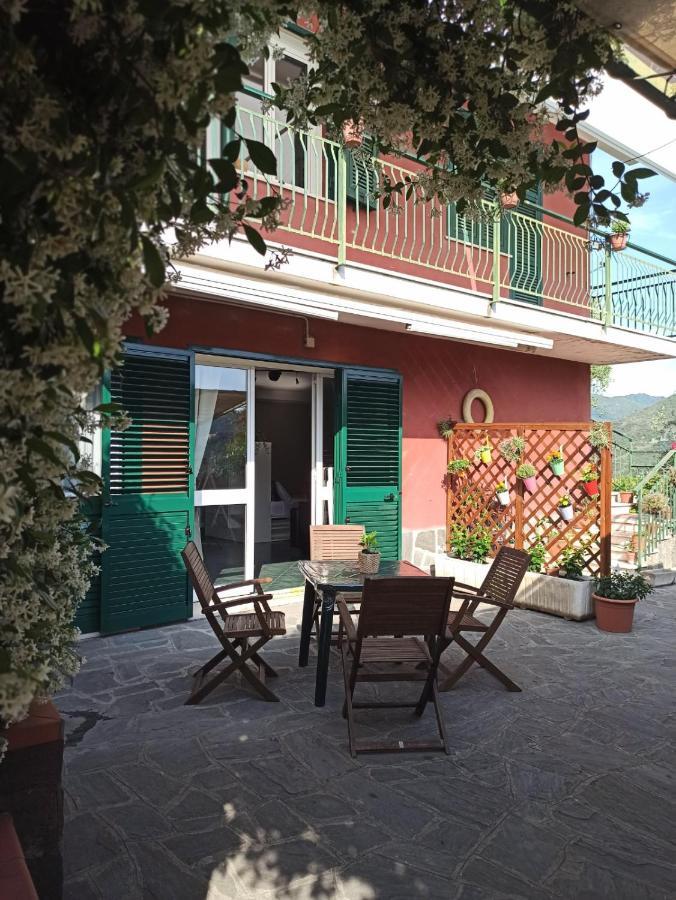 Il Glicine Cozy Appartamnent, Near Sestri Levante Between Cinque Terre E Portofino Casarza Ligure Esterno foto