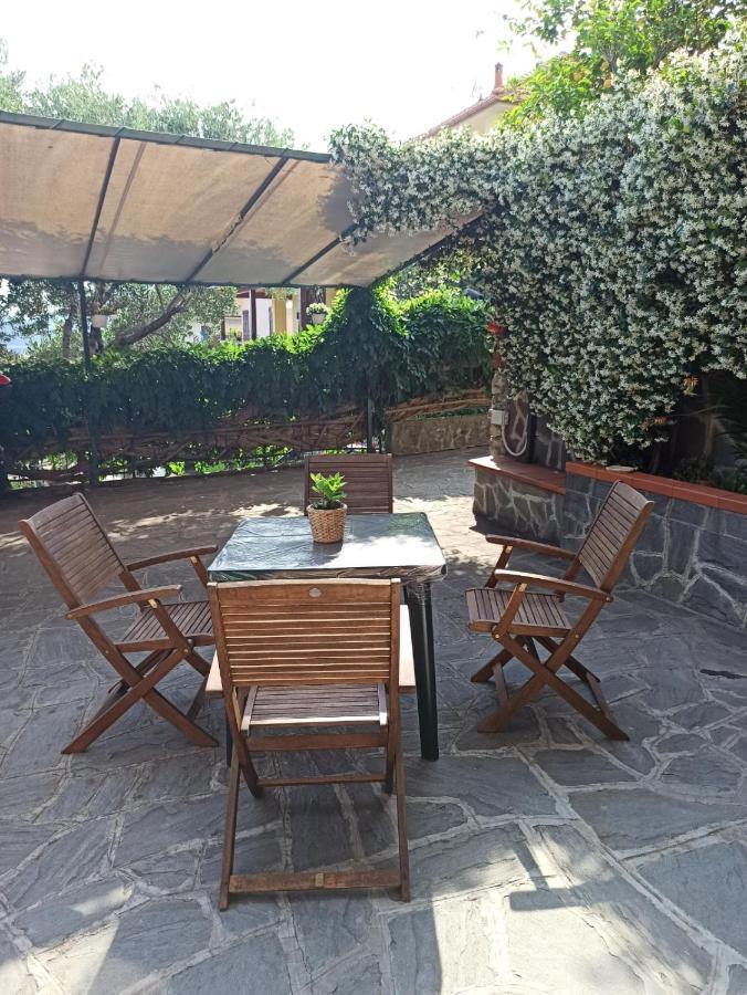 Il Glicine Cozy Appartamnent, Near Sestri Levante Between Cinque Terre E Portofino Casarza Ligure Esterno foto
