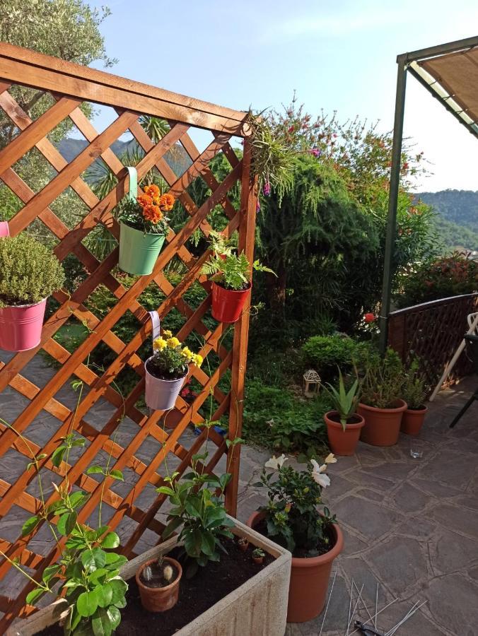 Il Glicine Cozy Appartamnent, Near Sestri Levante Between Cinque Terre E Portofino Casarza Ligure Esterno foto