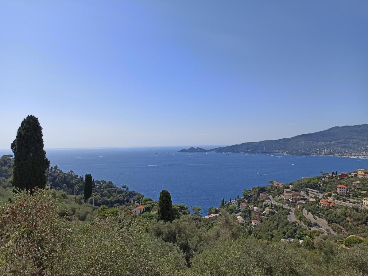 Il Glicine Cozy Appartamnent, Near Sestri Levante Between Cinque Terre E Portofino Casarza Ligure Esterno foto