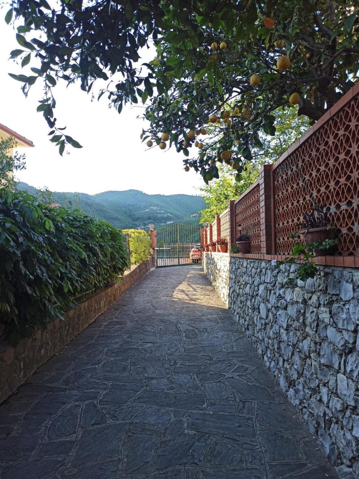 Il Glicine Cozy Appartamnent, Near Sestri Levante Between Cinque Terre E Portofino Casarza Ligure Esterno foto